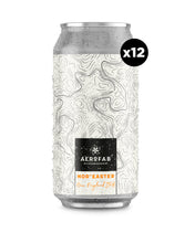 Charger l'image dans la galerie, Nor'Easter - 12 bières (12 x 44 cl)
