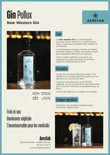 Charger l'image dans la galerie, Gin Pollux (50 cl)
